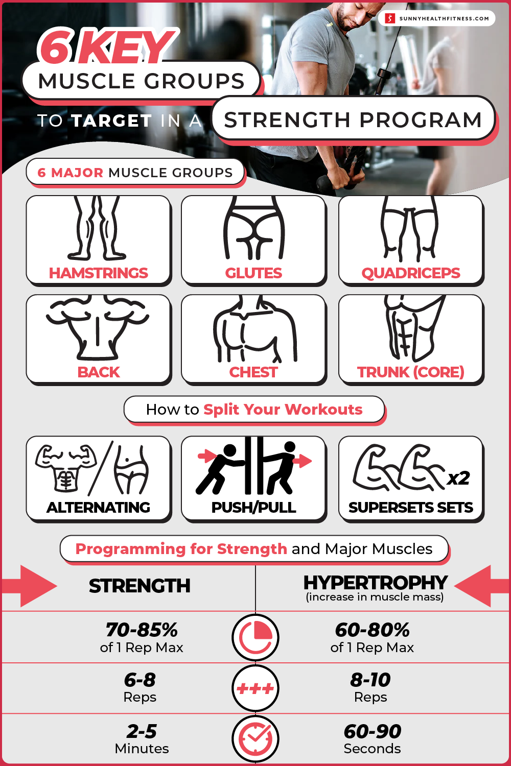 6 Key Muscle Groups to Target in a Strength Program