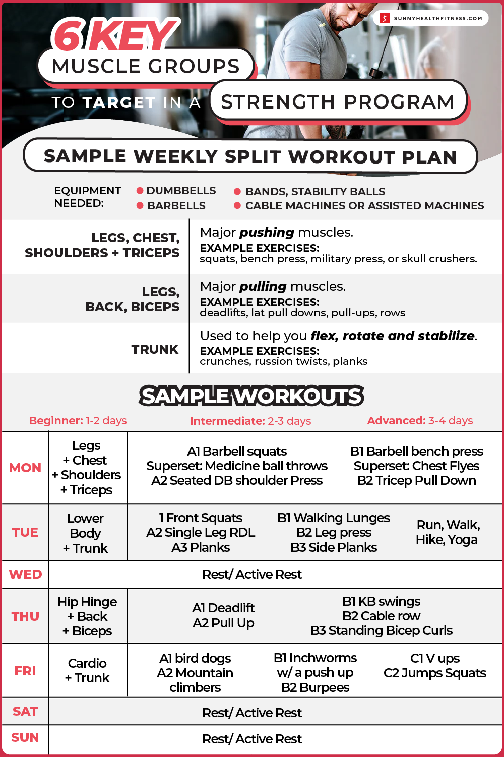 6 Key Muscle Groups to Target