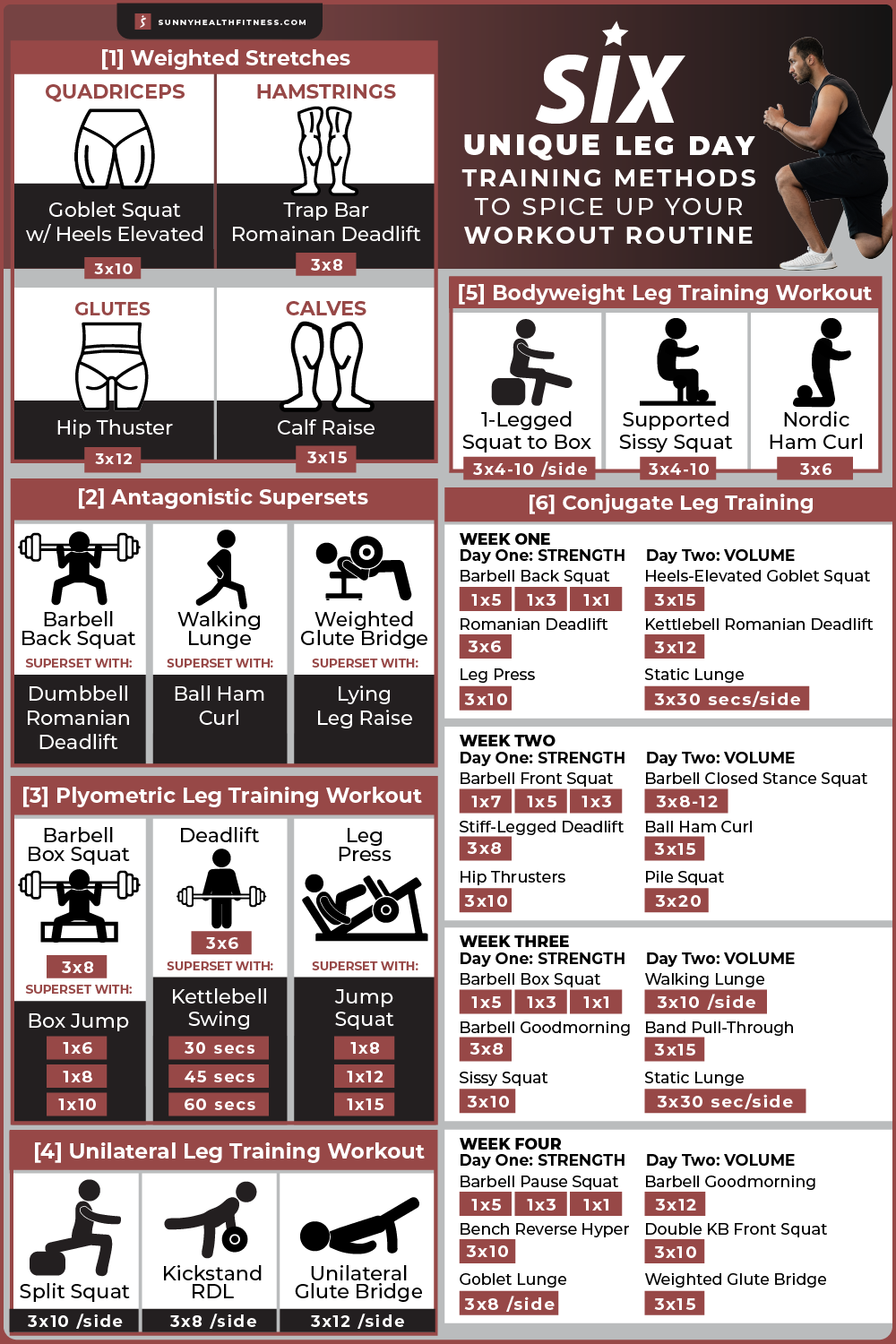 Leg Day Training Methods infographic