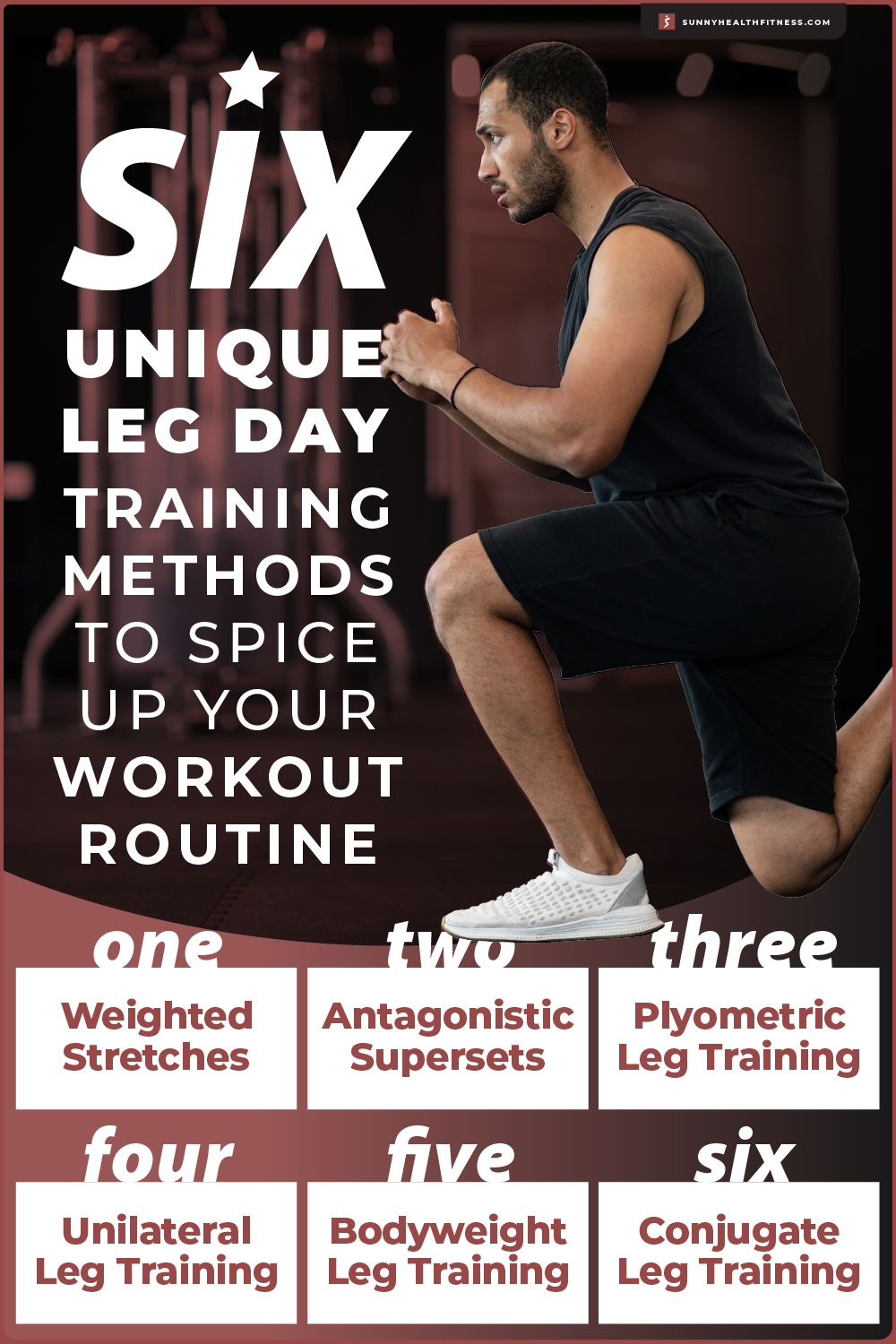 Leg Day Training Methods infographic