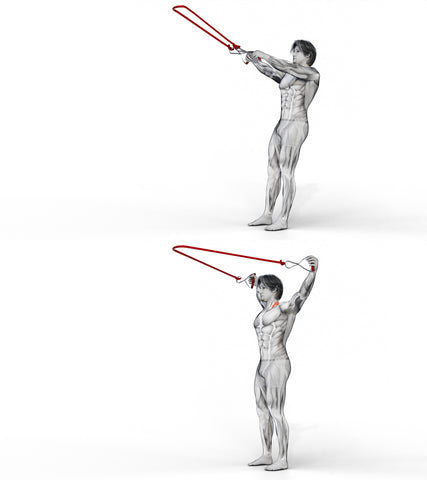 Man demonstrating Suspension Trainer Y-Raise exercise
