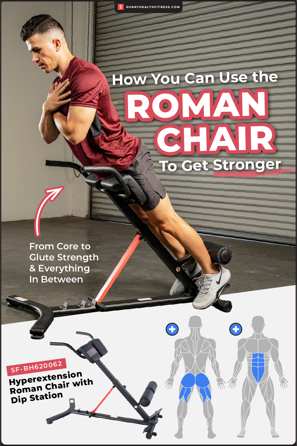 How You Can Use the Roman Chair Infographic