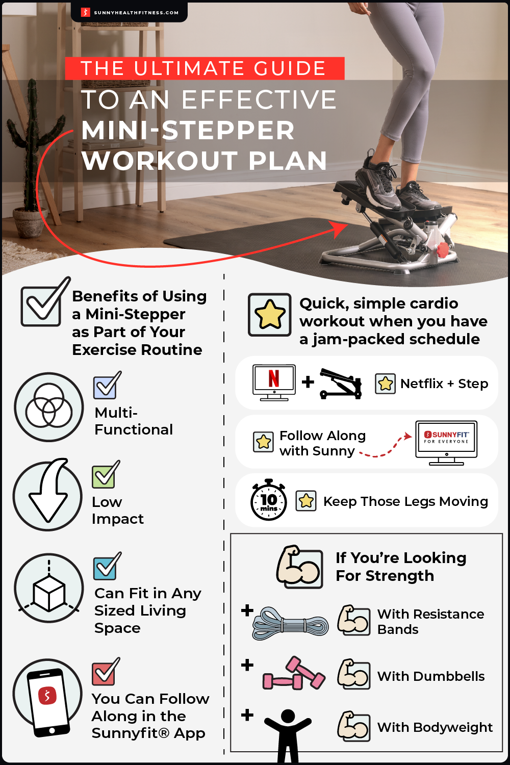 Mini-Stepper Workout Plan Infographic