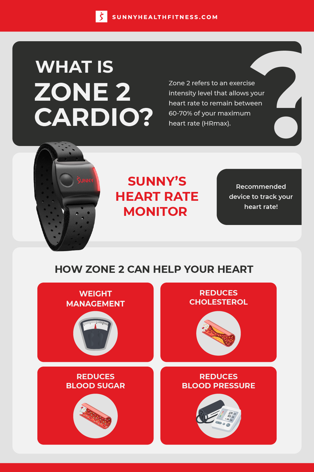 Zone 2 Cardio & Your Heart Infographic