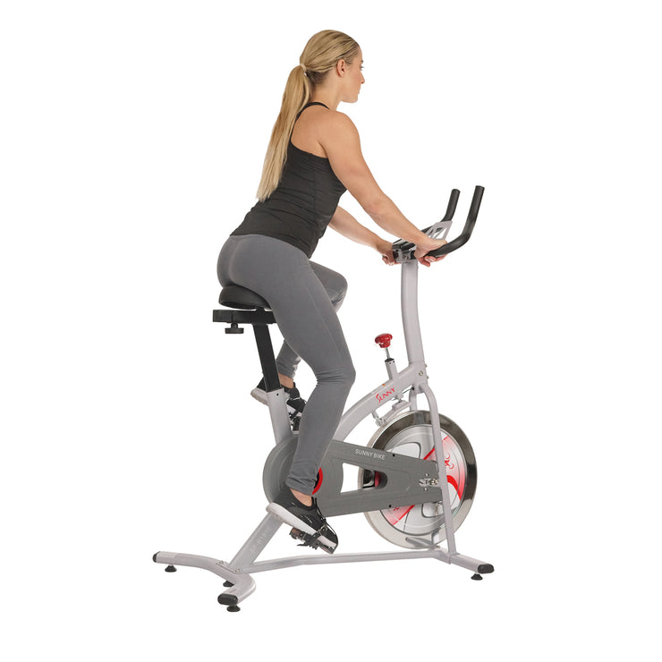 sunny magnetic resistance spin bike