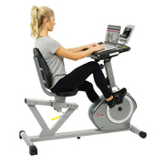 recumbent bike desk