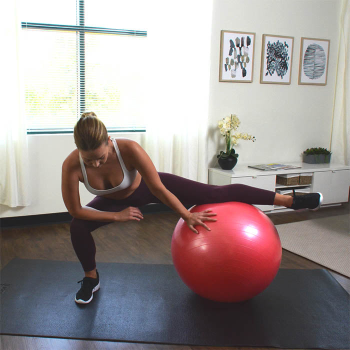 sunny-health-fitness-accessories-anti-burst-gym-ball-adductors