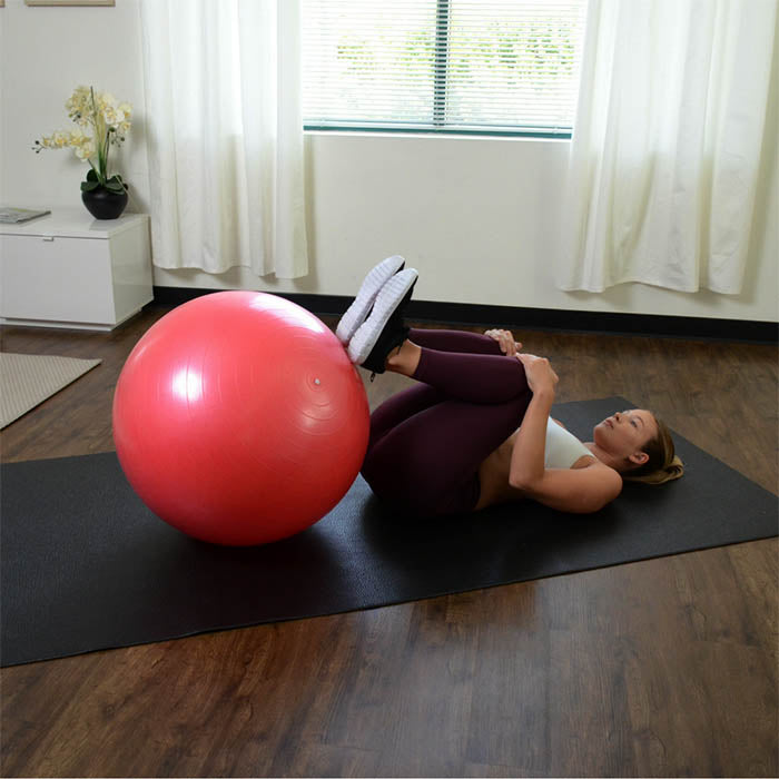 sunny-health-fitness-accessories-anti-burst-gym-ball-glutes