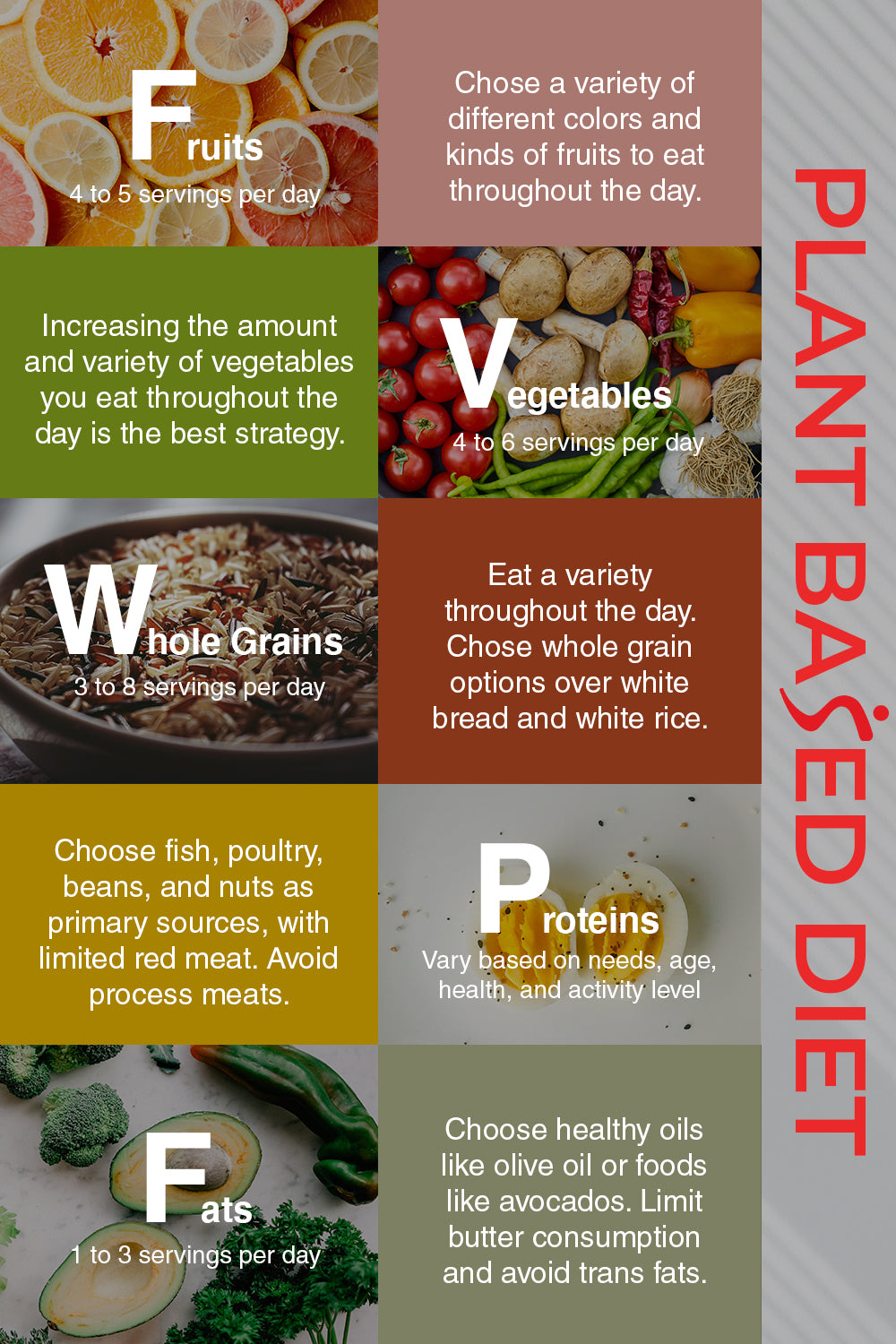 infographic for plant based diet