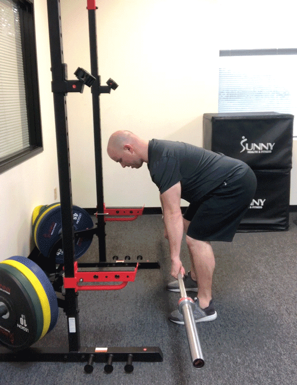 bent over row gif