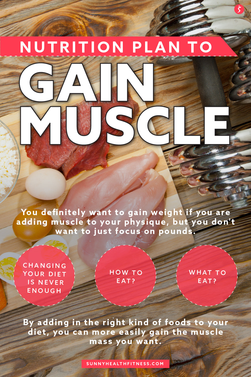 Nutrition Plan to Gain Muscle Infographic