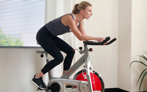 Sunny in-house trainer Sydney is cycling