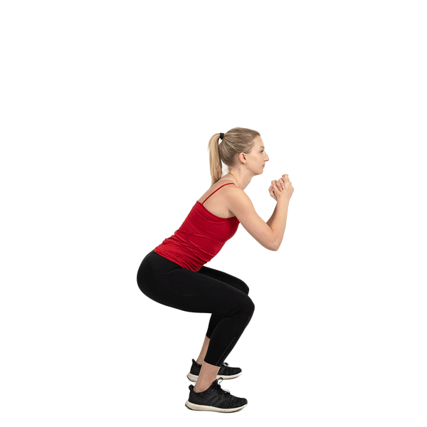 exercises for butt and thighs
