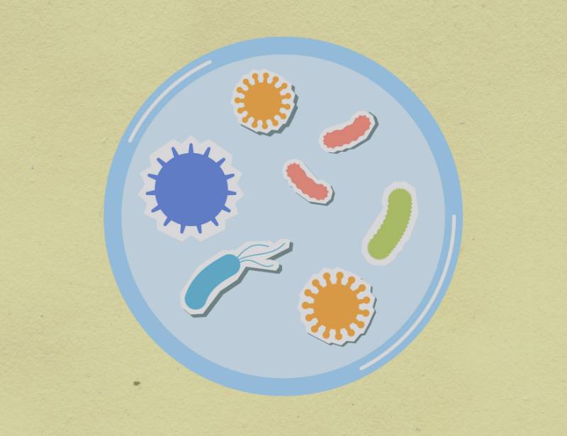 Graphics of bacteria