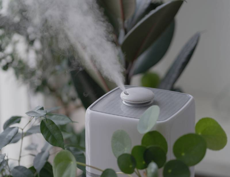 Humidifier surrounded by plants