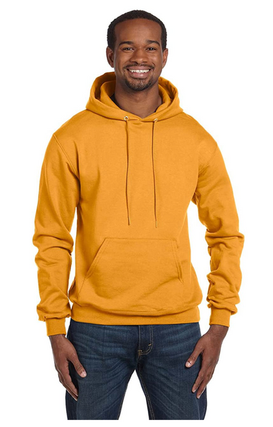 champion double dry action fleece pullover hood