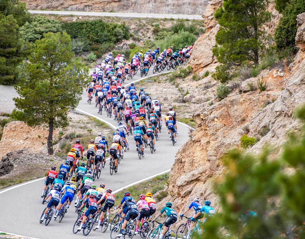 The peloton of cyclists ascends a mountain pass