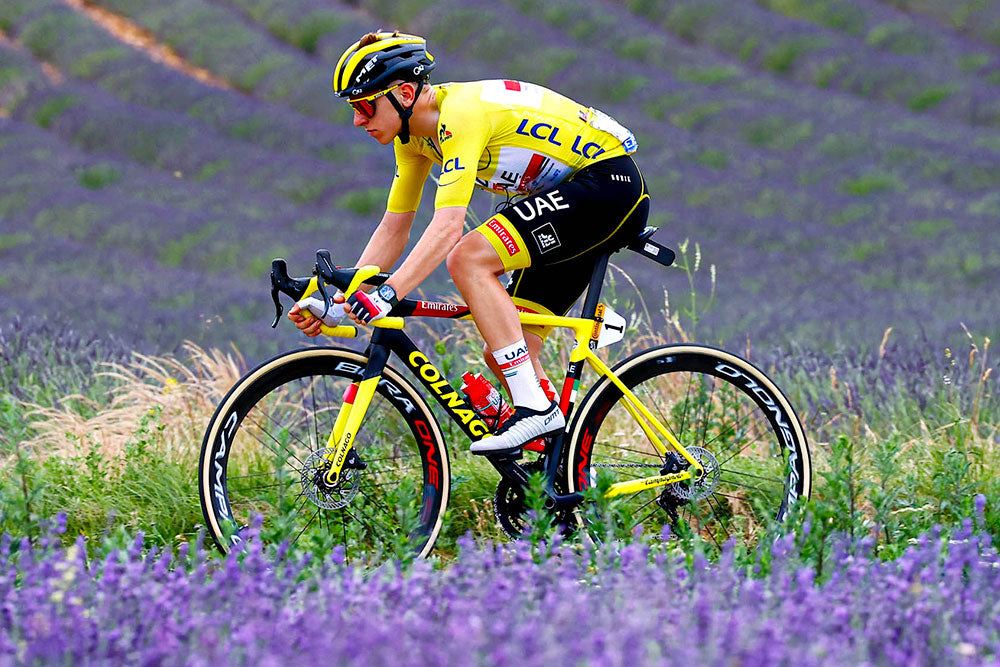 Tadej Pogacar lors du Tour de France 2021, à travers les champs de fleurs.