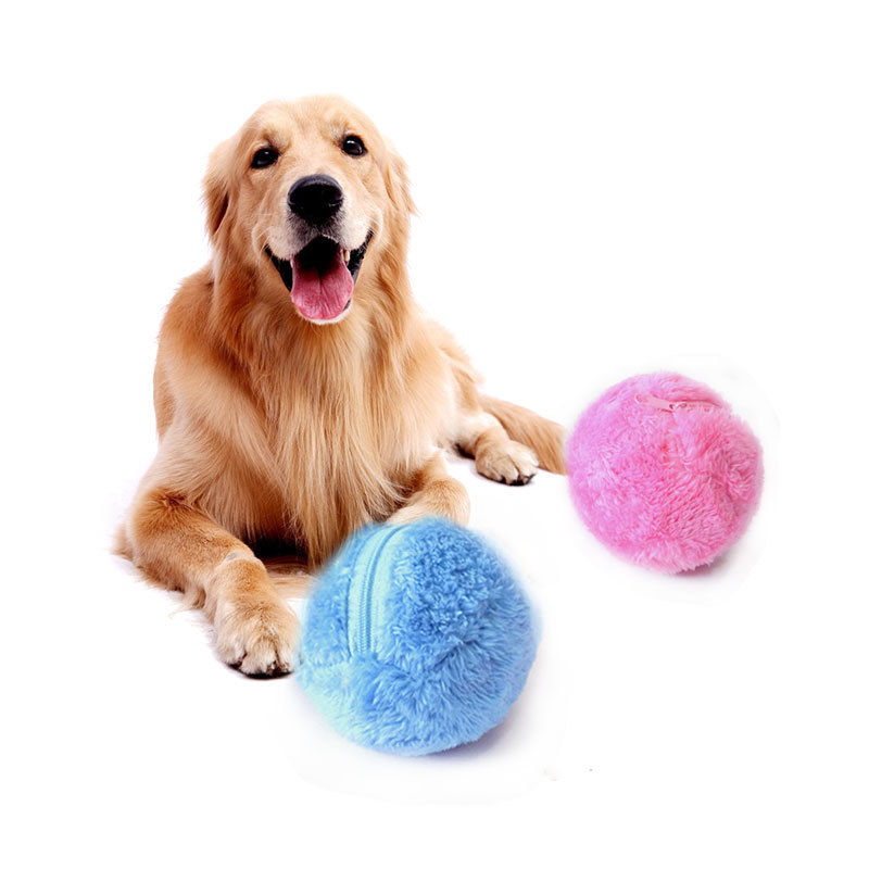 magic rolling ball for dogs