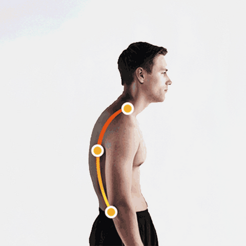 Back Shoulder Posture Corrector Belt | Plantar Fasciitis & Heel Pain  Ireland | sportszonedirect.com