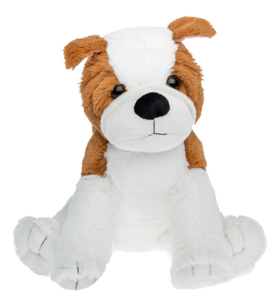 stuffed animal that you can record a message