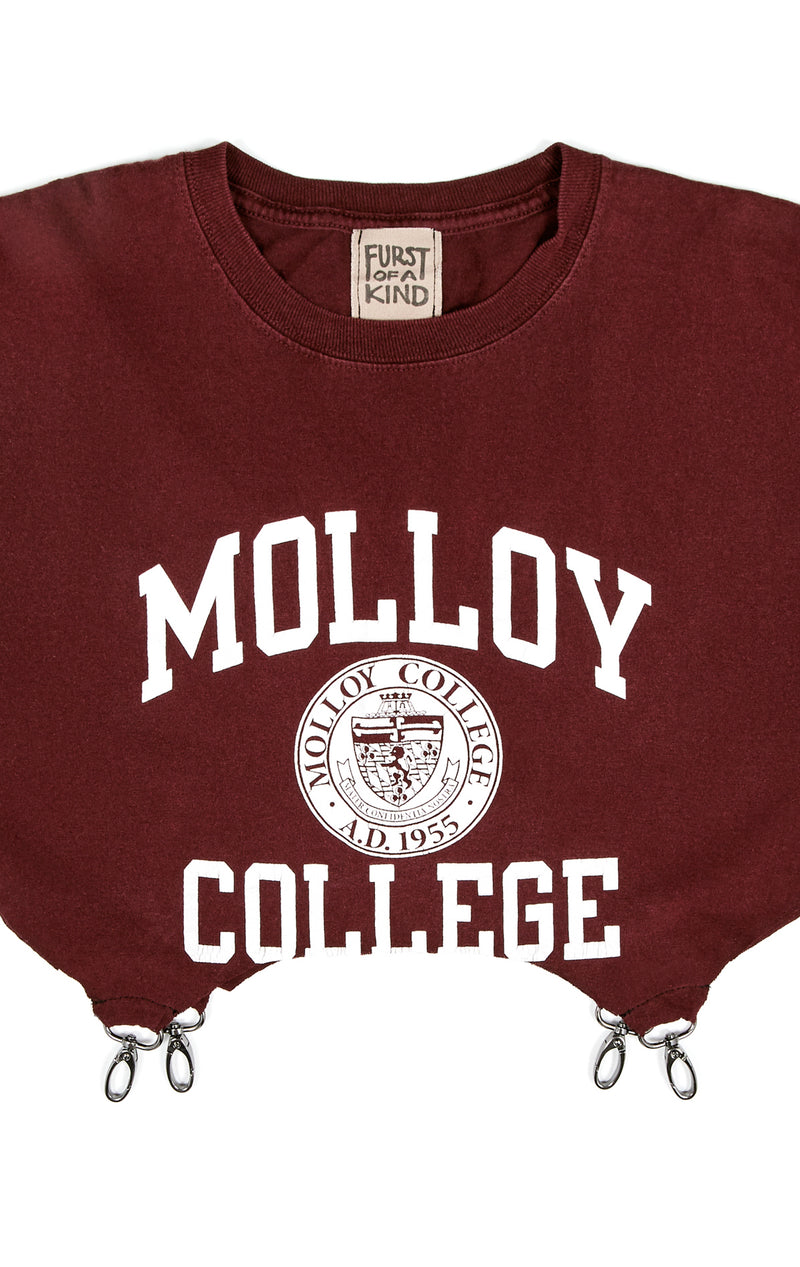 molloy college sweatshirts