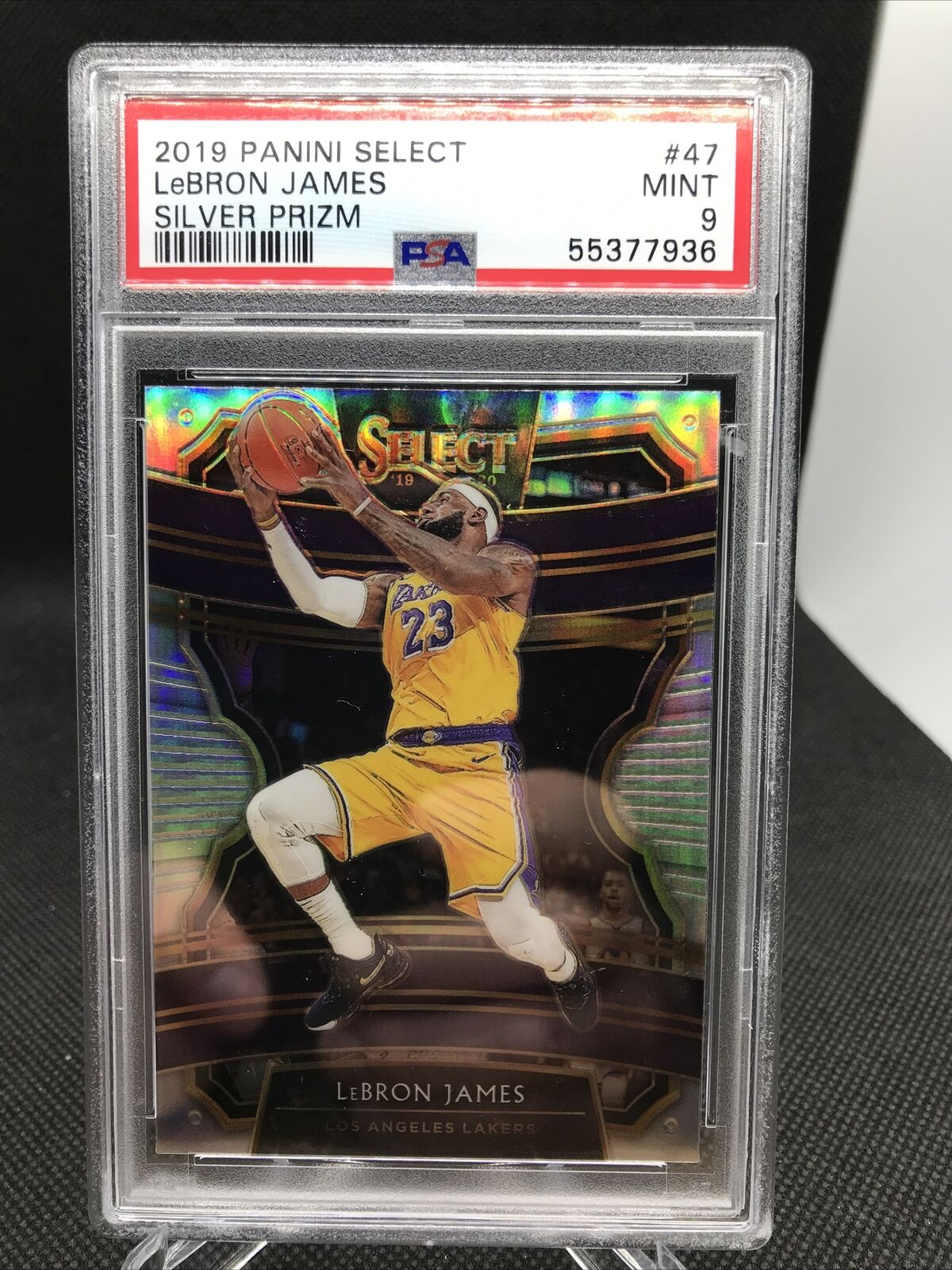 lebron James select silver prizm property-madagascar.com