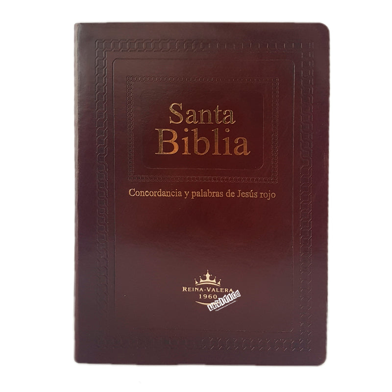 concordancia de la biblia reina valera 1960