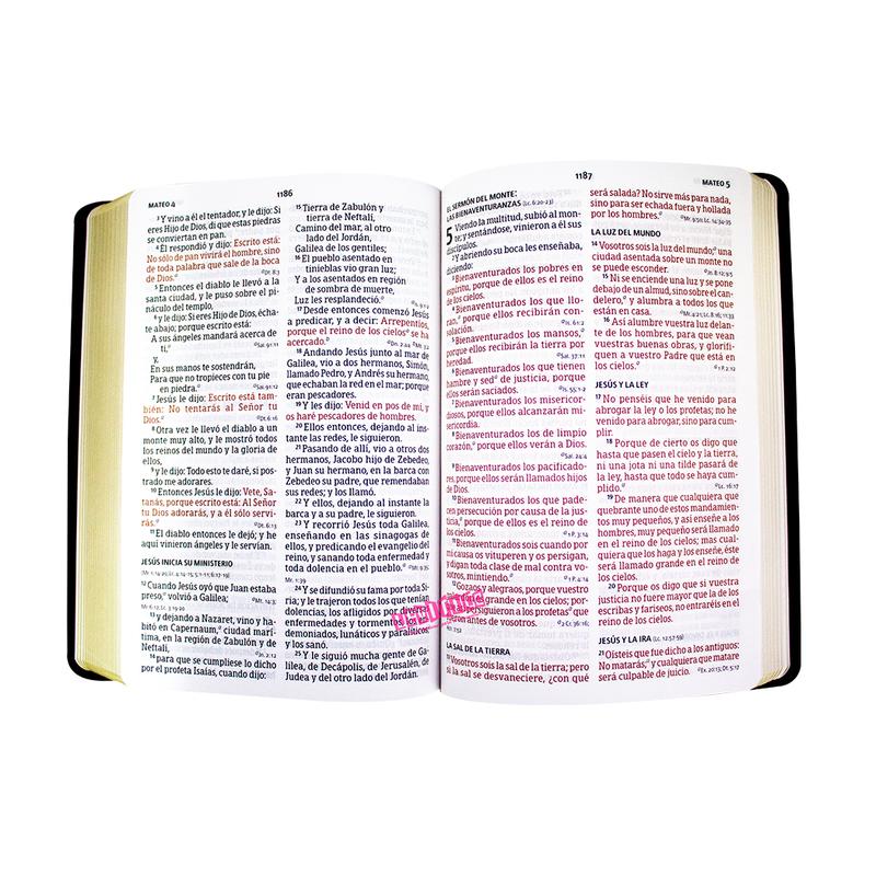 Biblia Reina Valera 1960 Letra Grande Tamaño Manual c/Referencias vini –  Levítico