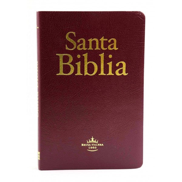 diccionario biblico reina valera 1960 online