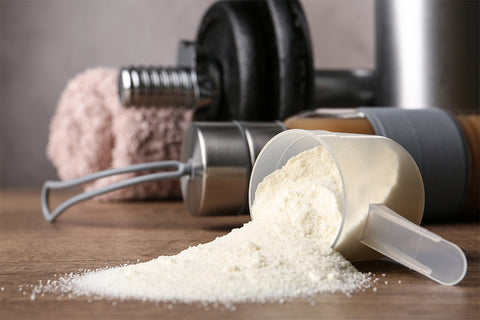 whey protein powder build muscle