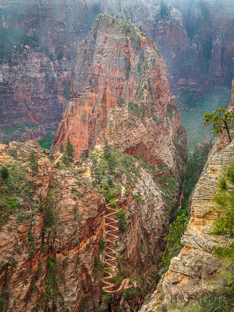 Walter Wiggles Angels Landing Zion National Park Utah By Julie Kerr Climbers Switchback Red Rock 