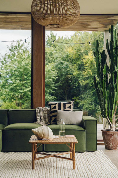 green sofa and plants