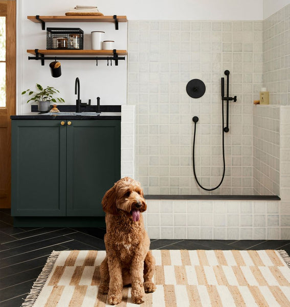 dog mudroom ideas dog shower utility room ideas