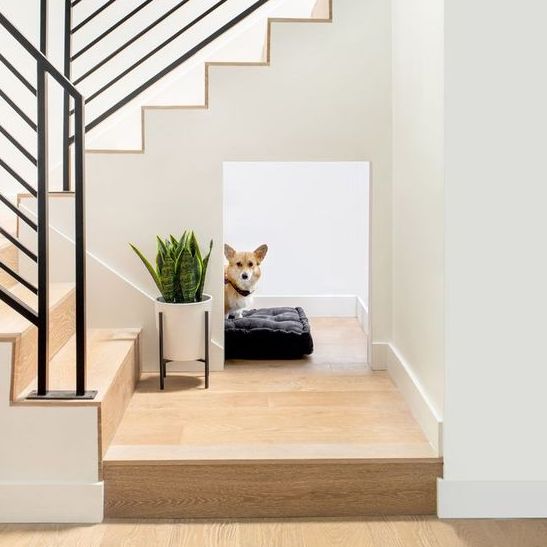 under stairs dog bed understairs dog crate