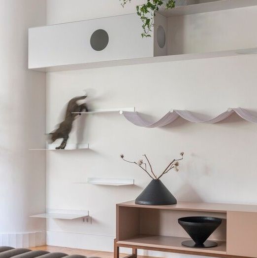 cat shelves cat walkway custom cat shelves cat tree cat climbing wall