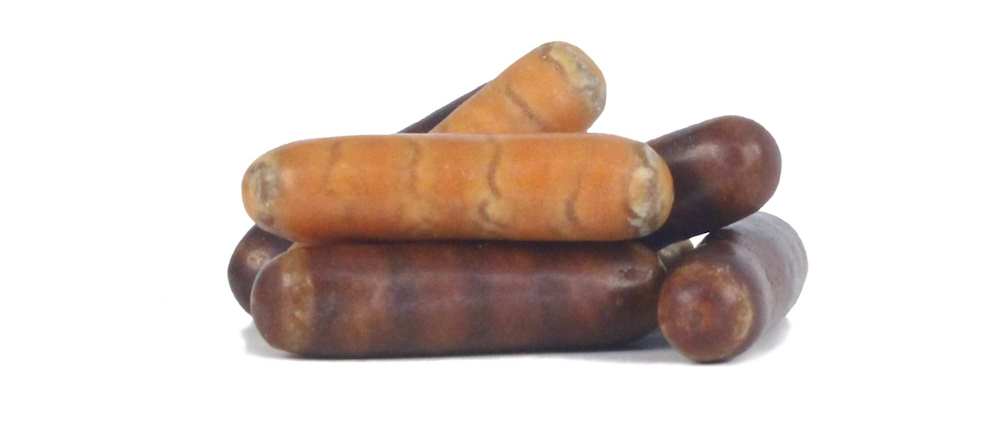 HARIBO LABRE LARVER – LARVAE SHAPED CARAMEL LIQUORICE SWEETS