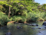 Sri Lanka Jungle river