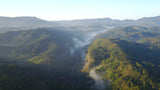 Sri Lanka Analog Forest valley