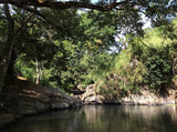 river at Amba estate