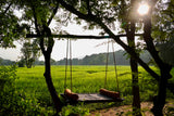 Ulpotha rice fields