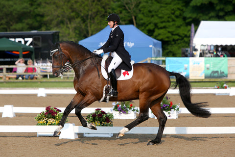 Side view of a jockey riding a brown horse