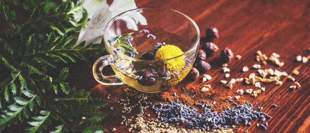Plant Based winter herbs for a warming tea