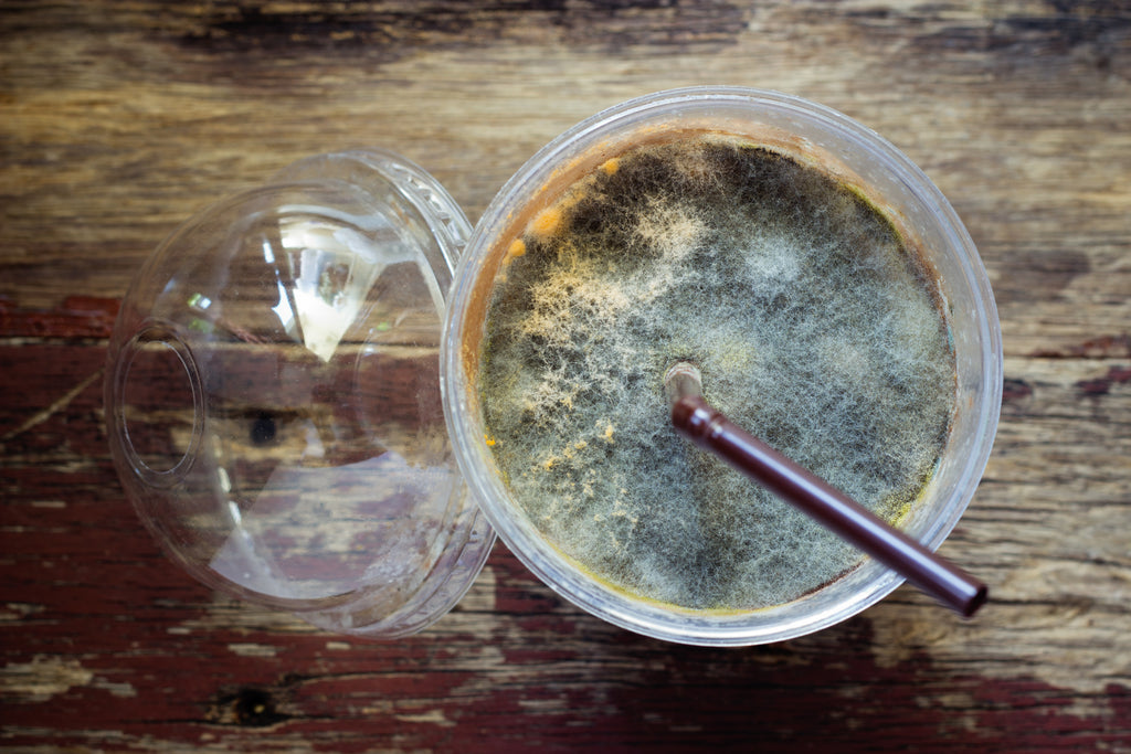 blue mold on the top of a plastic cup of iced coffee