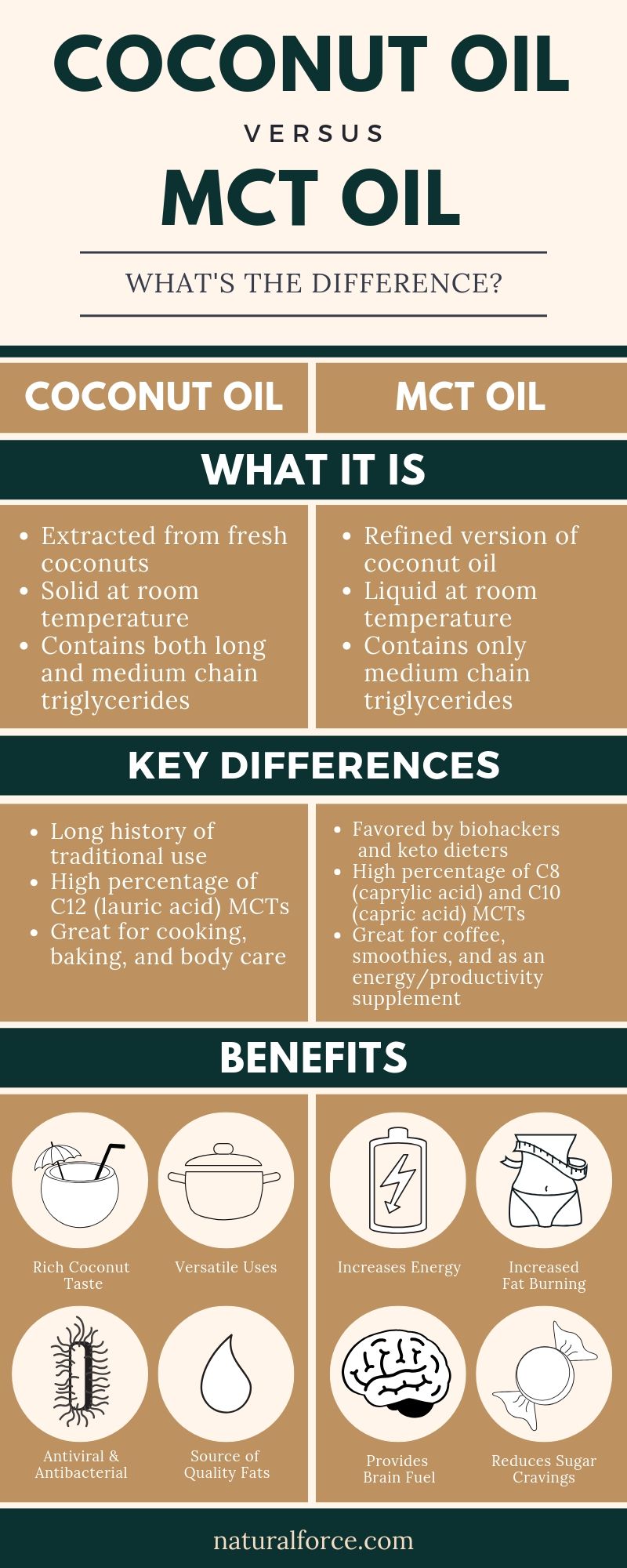 mct oil vs coconut oil infographic