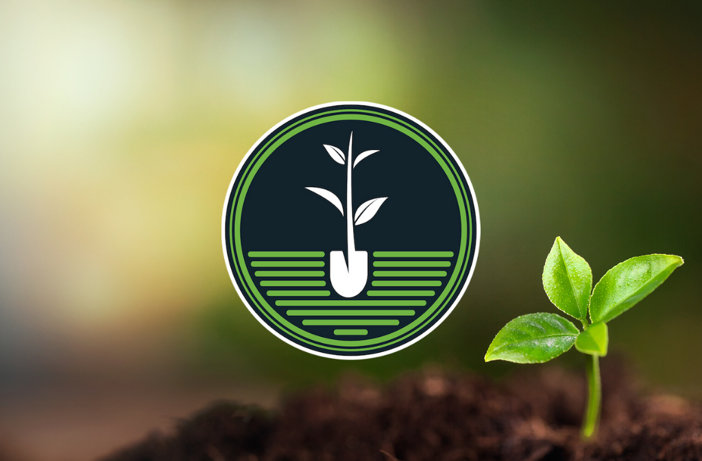 natural force is a one tree planted reforestation partner