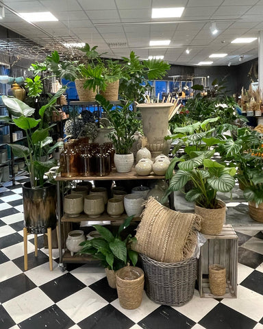 Blomsterbutikken på Raglamyr