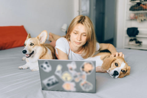 Epsilon Acupuncture take your dog to work from home day