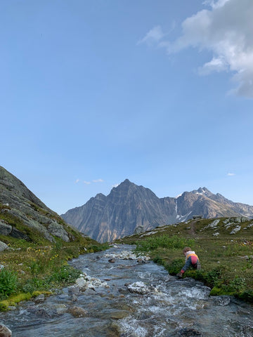 A stream in glacier national park
