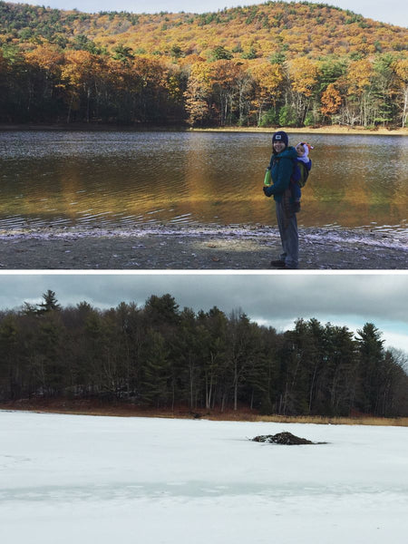 Landscape photos taken at Moreau Lake State Park in New York in Fall and Winter